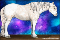 Horse Color:Chocolate Palomino Pearl Sabino Appaloosa