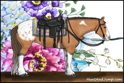 Horse Color:Bay Splash Tobiano Appaloosa Brindle