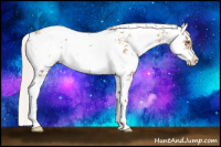 Horse Color:Silver Black Pearl Sabino 