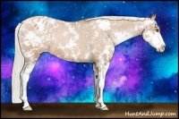 Horse Color:Silver Black Pearl Sabino Blanket 
