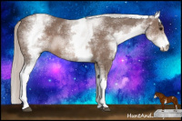Horse Color:White Spotted Silver Black Sabino 