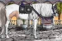 Horse Color:Bay Splash Tobiano Appaloosa  Brindle