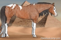 Horse Color:Bay Splash Tobiano Blanket  Brindle