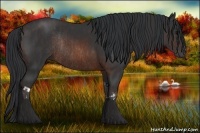 Horse Color:Brown Rabicano  Brindle