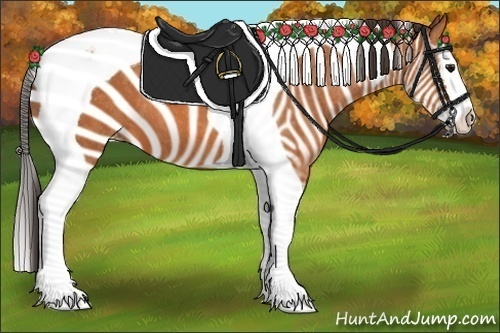 Horse Color:Bay Splash Tobiano Blanket Brindle