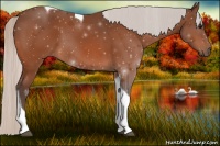 Horse Color:Silver Bay Tobiano 