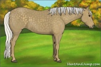 Horse Color:Silver Smoky Black 