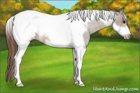 Horse Color:Brown Roan Dun Tobiano Frame Blanket 