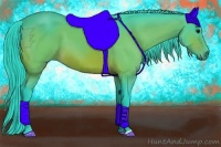 Horse Color:Watercolor Bay 