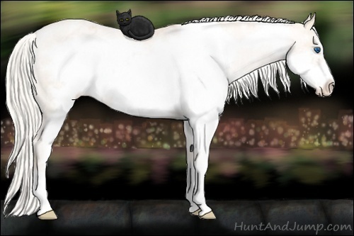 Horse Color:Gold Champagne Pearl Splash Frame Appaloosa Rabicano