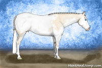 Horse Color:Silver Buckskin Roan Splash Snowcap 
