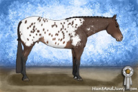 Horse Color:Brown Near Leopard 
