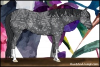 Horse Color:Black Ice 