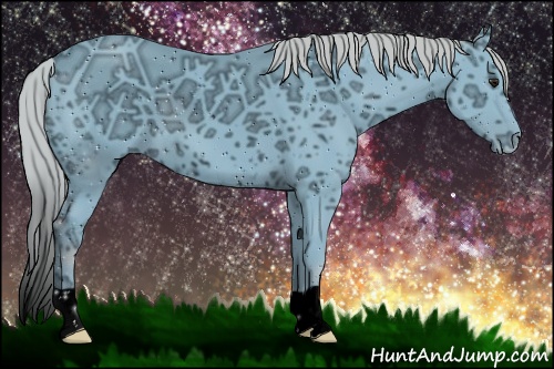 Horse Color: ERROR: UNKNOWN ANOMALY