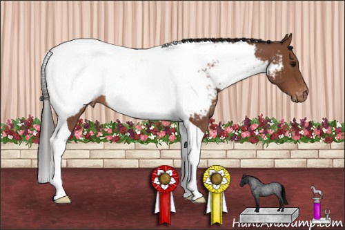 Horse Color: Bay Roan Tobiano Near Fewspot 