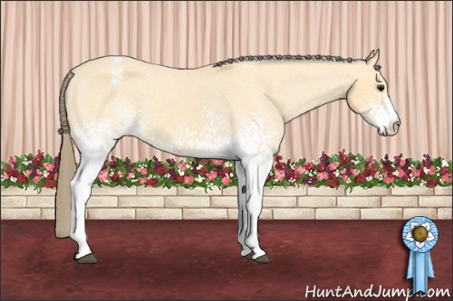 Horse Color: White Spotted Buckskin Varnish 