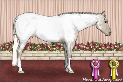 Horse Color: Silver Buckskin Roan Dun Snowcap 