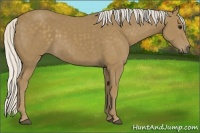 Horse Color:Silver Smoky Black 
