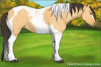 Horse Color:Buckskin Dun Tobiano 