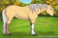 Horse Color:Silver Buckskin 