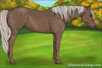 Horse Color:Silver Black 