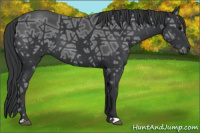 Horse Color:Black Ice 