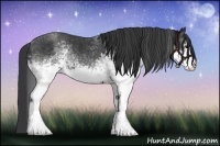 Horse Color:White Spotted Blue Roan Rabicano  Brindle