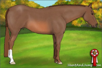 Horse Color:Liver Red Roan 