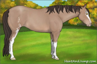 Horse Color:White Spotted Sable Champagne Roan 