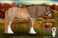 Horse Color:Blue Roan Pearl Sabino Rabicano  Brindle