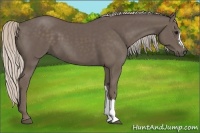Horse Color:Silver Black 