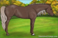 Horse Color:Silver Black 