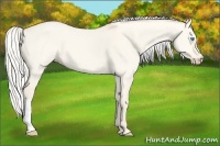 Horse Color:Silver Perlino Dun 