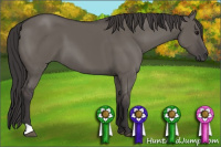 Horse Color:Smoky Grullo 