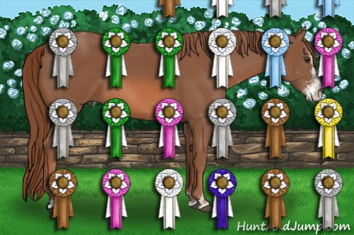 Horse Color: Liver Chestnut Sabino 