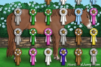 Horse Color:Liver Chestnut Sabino