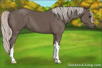 Horse Color:Silver Black 