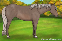 Horse Color:Silver Brown 