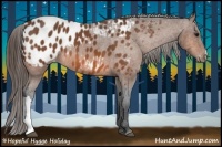 Horse Color:Bay Blanket 
