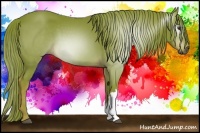 Horse Color:Gray Watercolor Chestnut 