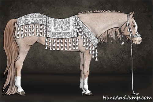Horse Color: Chestnut Splash Blanket 