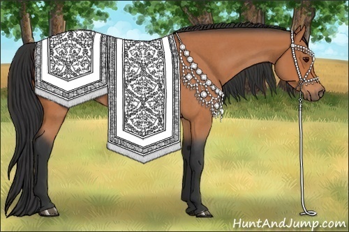 Horse Color: Bay Roan 