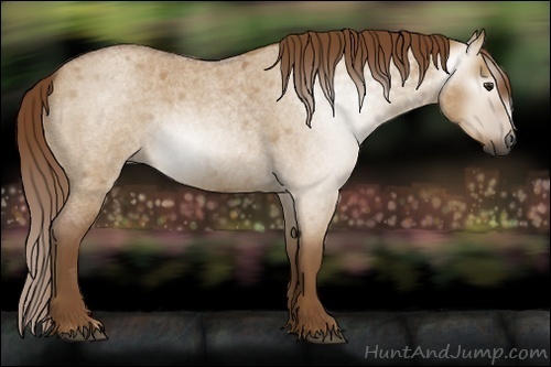 Horse Color:Gray Red Dun Roan 