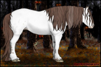 Horse Color:Classic Champagne Roan Near Fewspot 