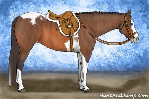 Horse Color:Bay Splash Tobiano Blanket Brindle