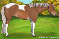 Horse Color:Silver Bay Tobiano