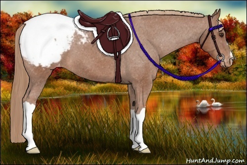 Horse Color:Chestnut Snowcap 