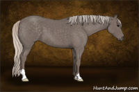 Horse Color:Silver Blue Roan 