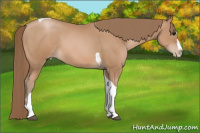 Horse Color:Black Pearl Splash Tobiano
