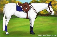Horse Color:White Spotted Gold Cream Champagne 